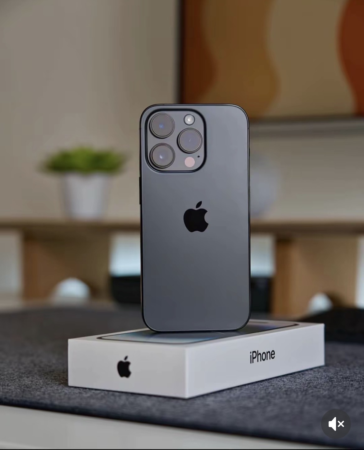 iPhone 14 Pro 256 Go